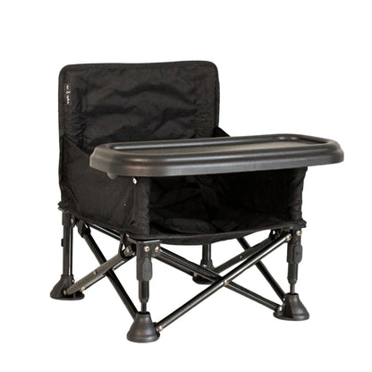 Baby & Toddler Fold-Out Portable Booster Chair
